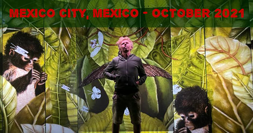 Krzysztof Niecikowski - Mexico City - October 2021